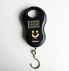 Fishing Pocket Weight Scale Luggage